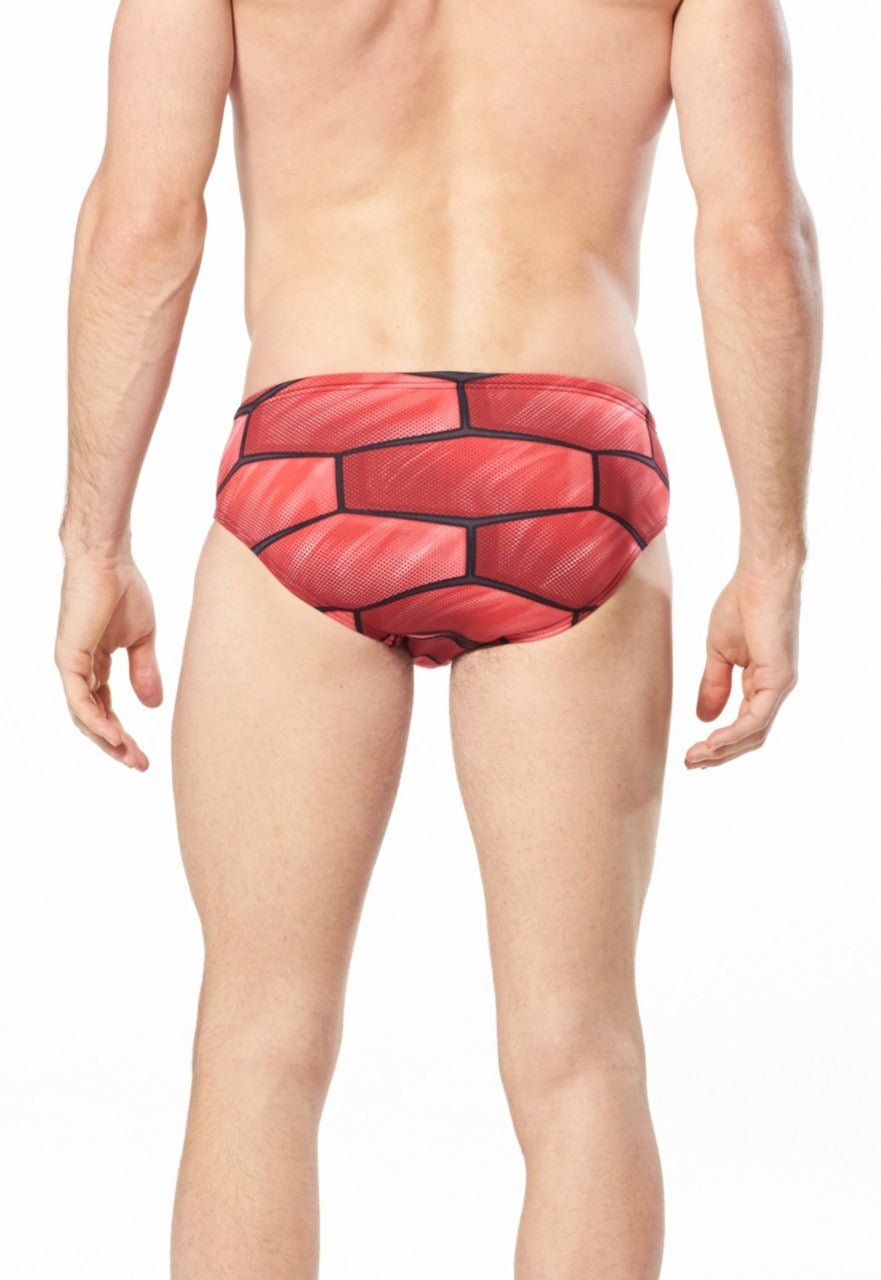 Speedo Brief SHELL SHOCK  Swimming Briefs for Men  Speedo