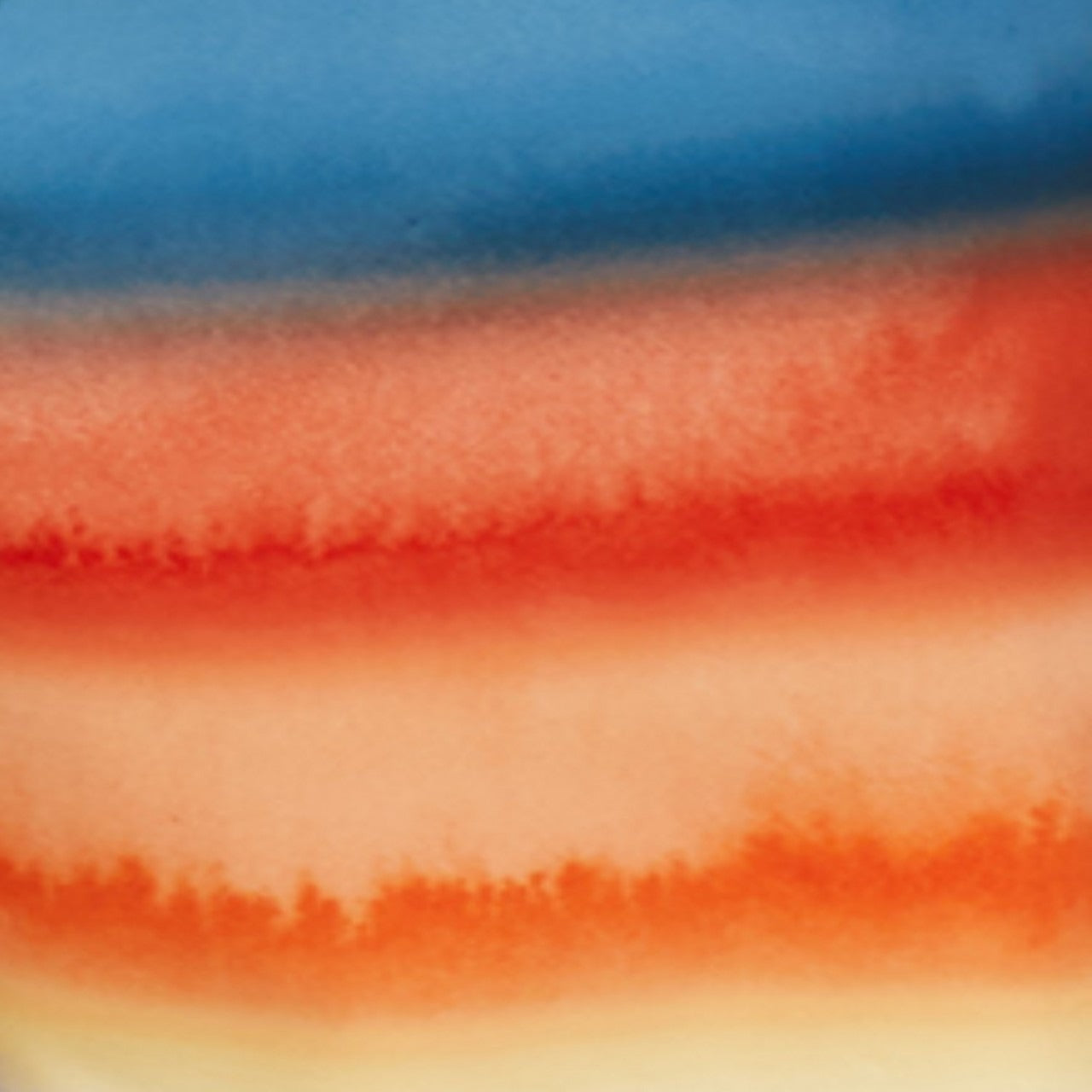 Speedo Men's Eco 4Way Comfort Stretch Board Shorts  Boardshorts  Speedo