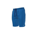 Nike Mens Essential Lap 9 Volley Short  Boardshorts  Nike